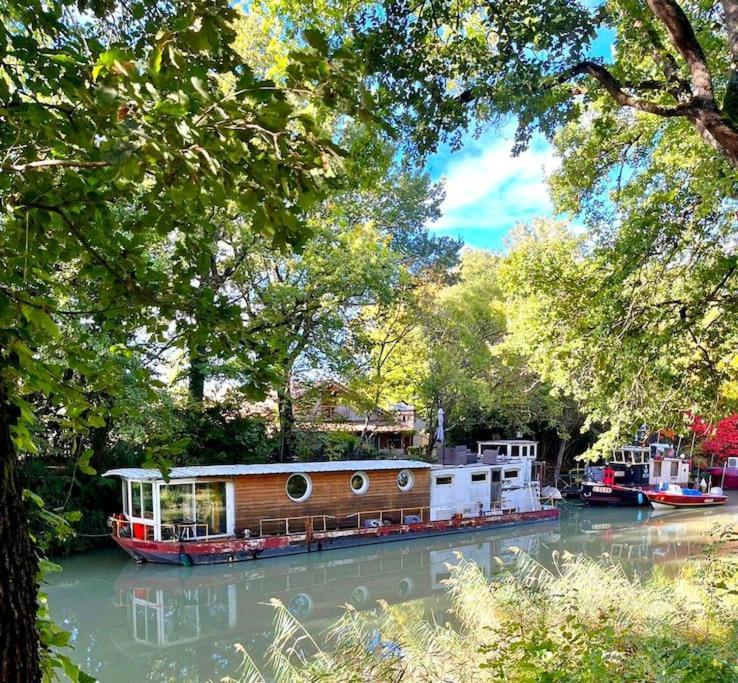 Insolite Peniche Amazonie Canal Du Midi Gardouch Exterior photo